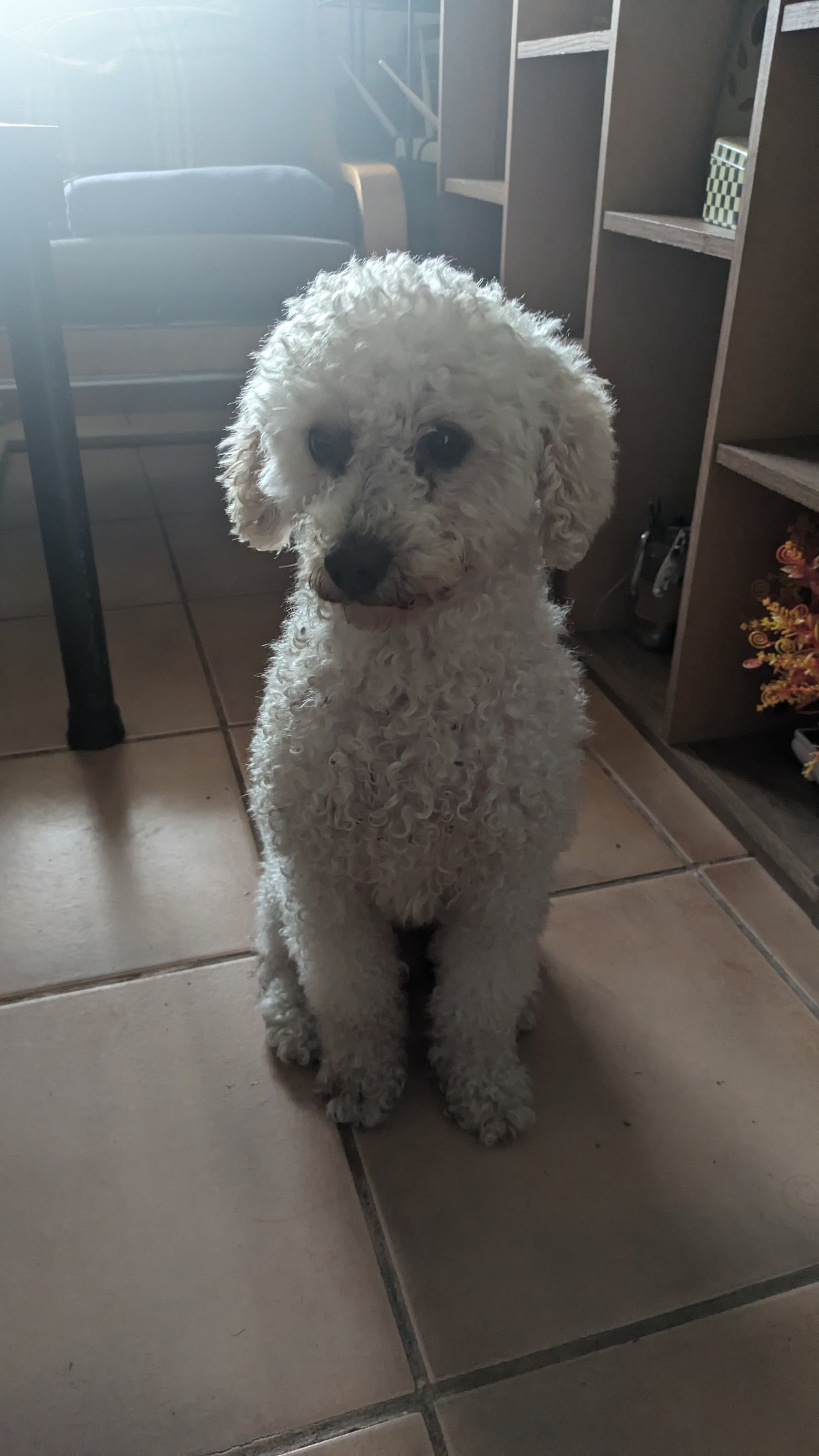 Coco