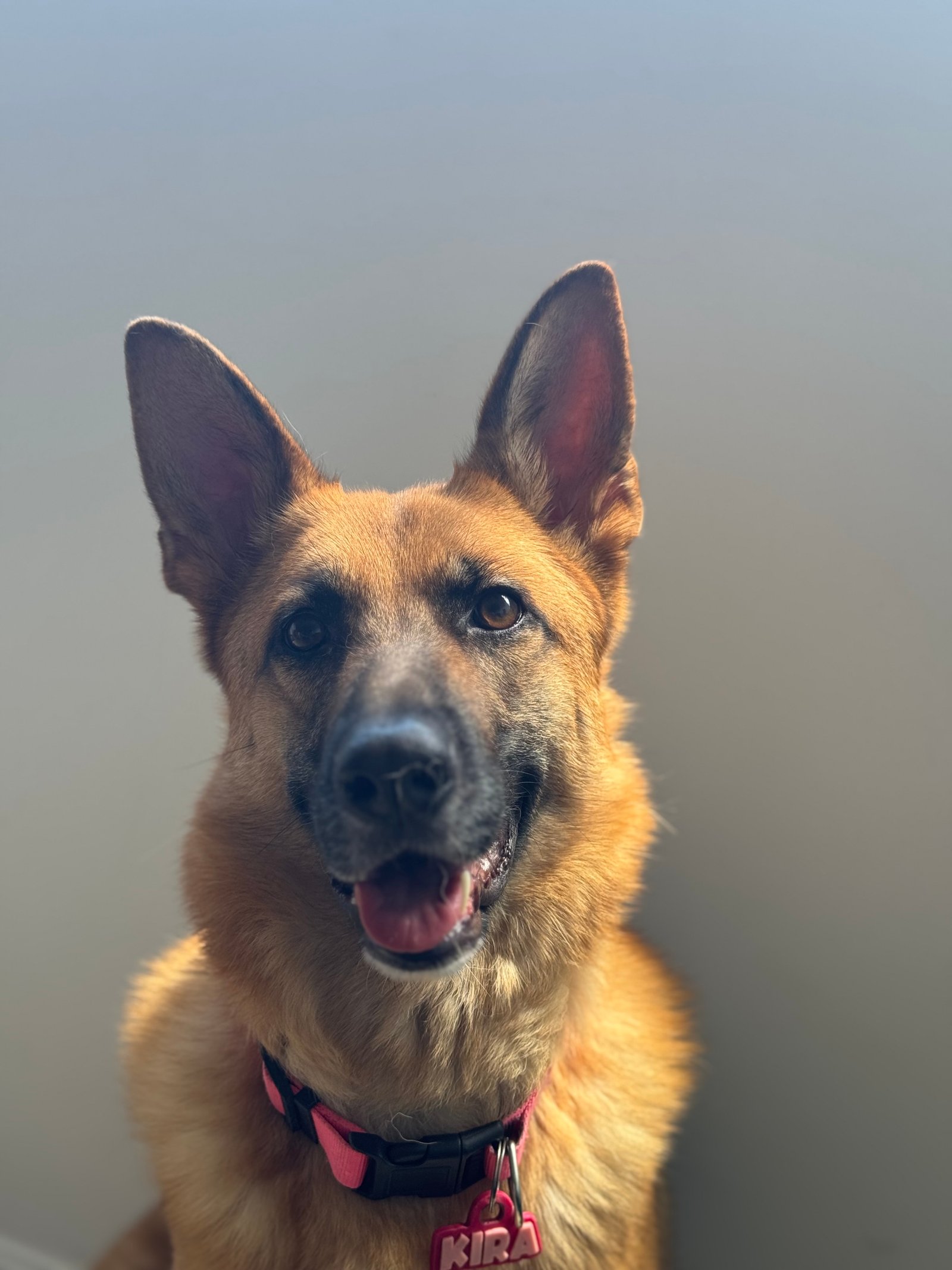 Kira