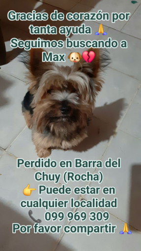 MAX